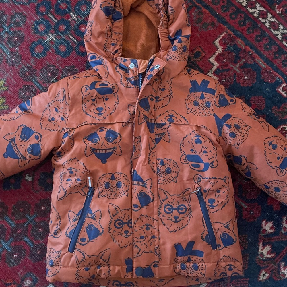 Cat and Jack 3n1 jacket with removable liner. Very warm and super cute. Works fo